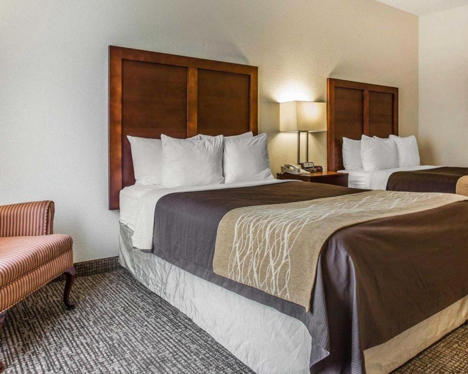 Comfort Inn & Suites Camden Ngoại thất bức ảnh