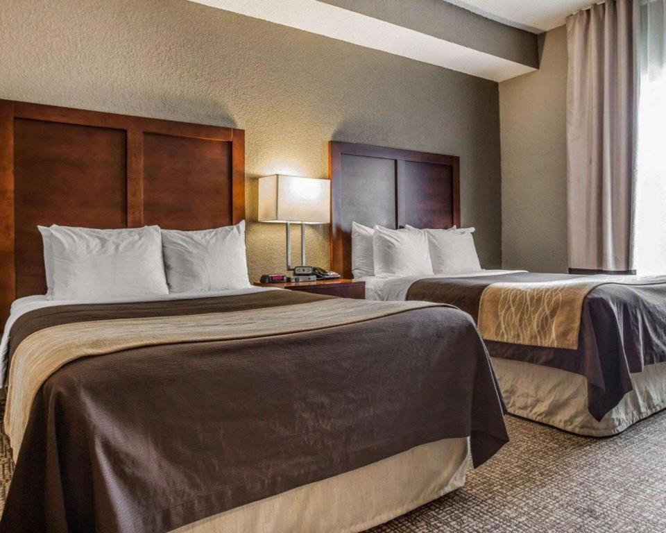 Comfort Inn & Suites Camden Ngoại thất bức ảnh