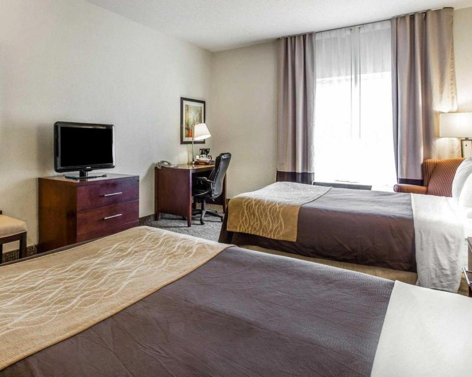 Comfort Inn & Suites Camden Ngoại thất bức ảnh