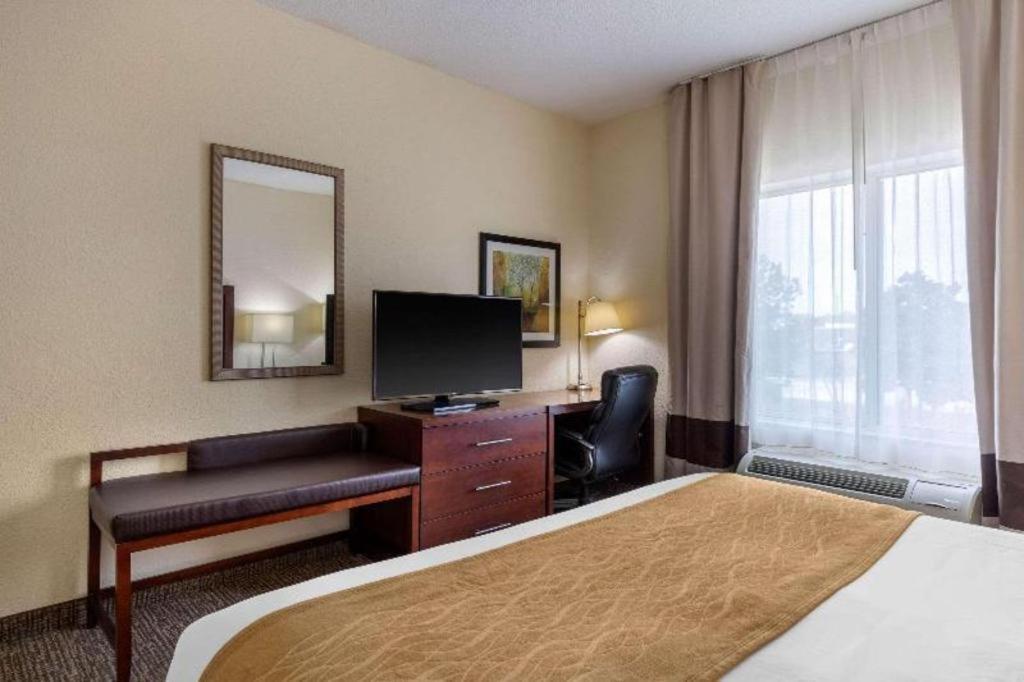 Comfort Inn & Suites Camden Ngoại thất bức ảnh