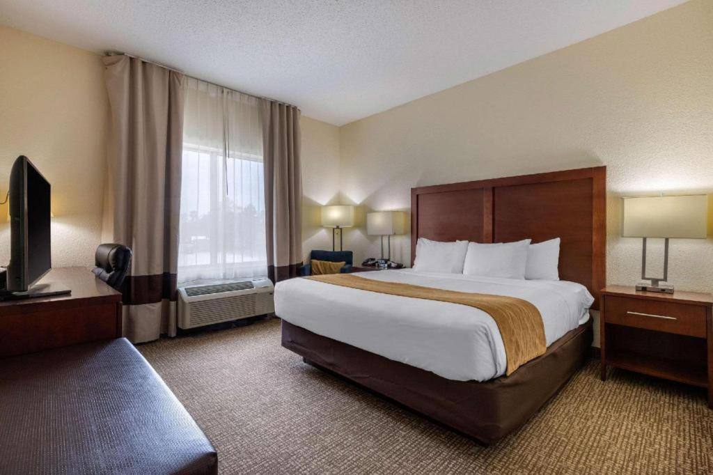 Comfort Inn & Suites Camden Ngoại thất bức ảnh
