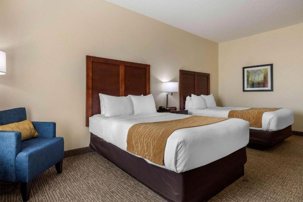 Comfort Inn & Suites Camden Ngoại thất bức ảnh