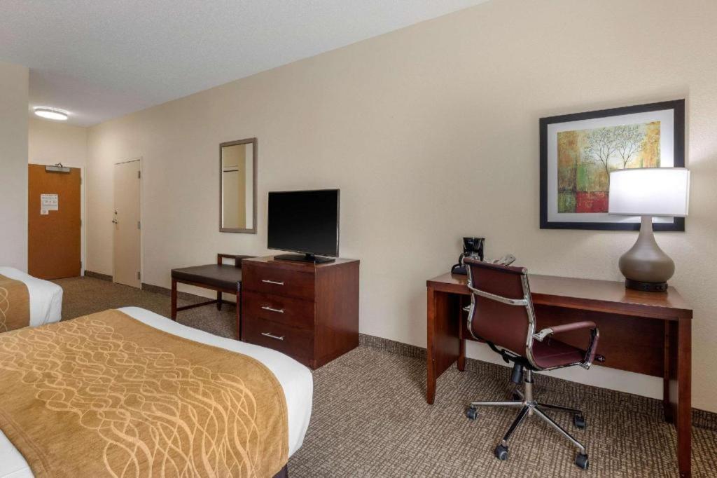 Comfort Inn & Suites Camden Ngoại thất bức ảnh