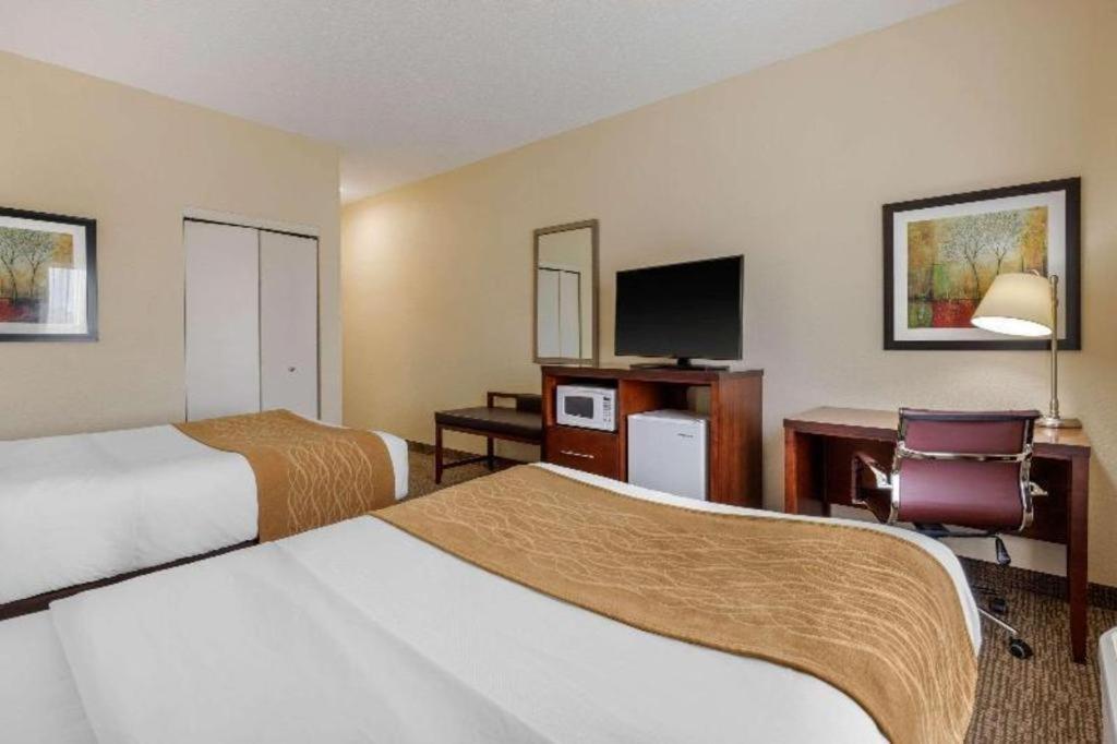 Comfort Inn & Suites Camden Ngoại thất bức ảnh