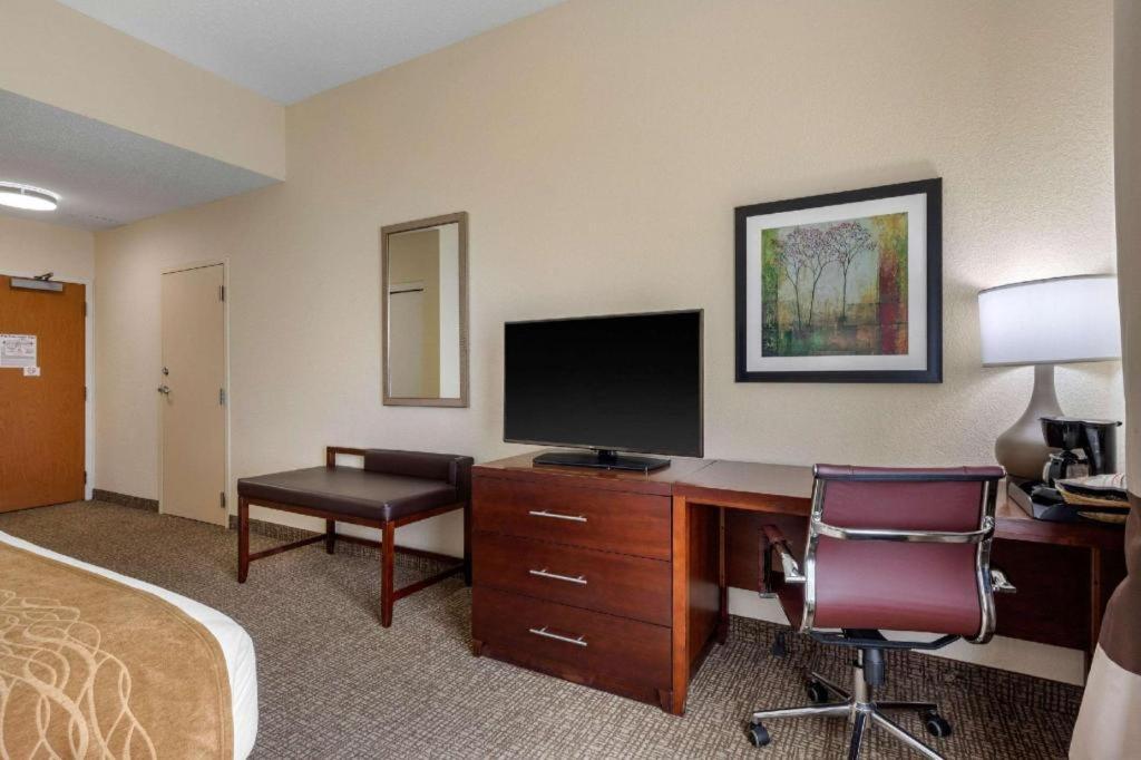 Comfort Inn & Suites Camden Ngoại thất bức ảnh